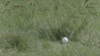 Golfball verloren: Was Sie wirklich tun müssen (Regel erklärt)