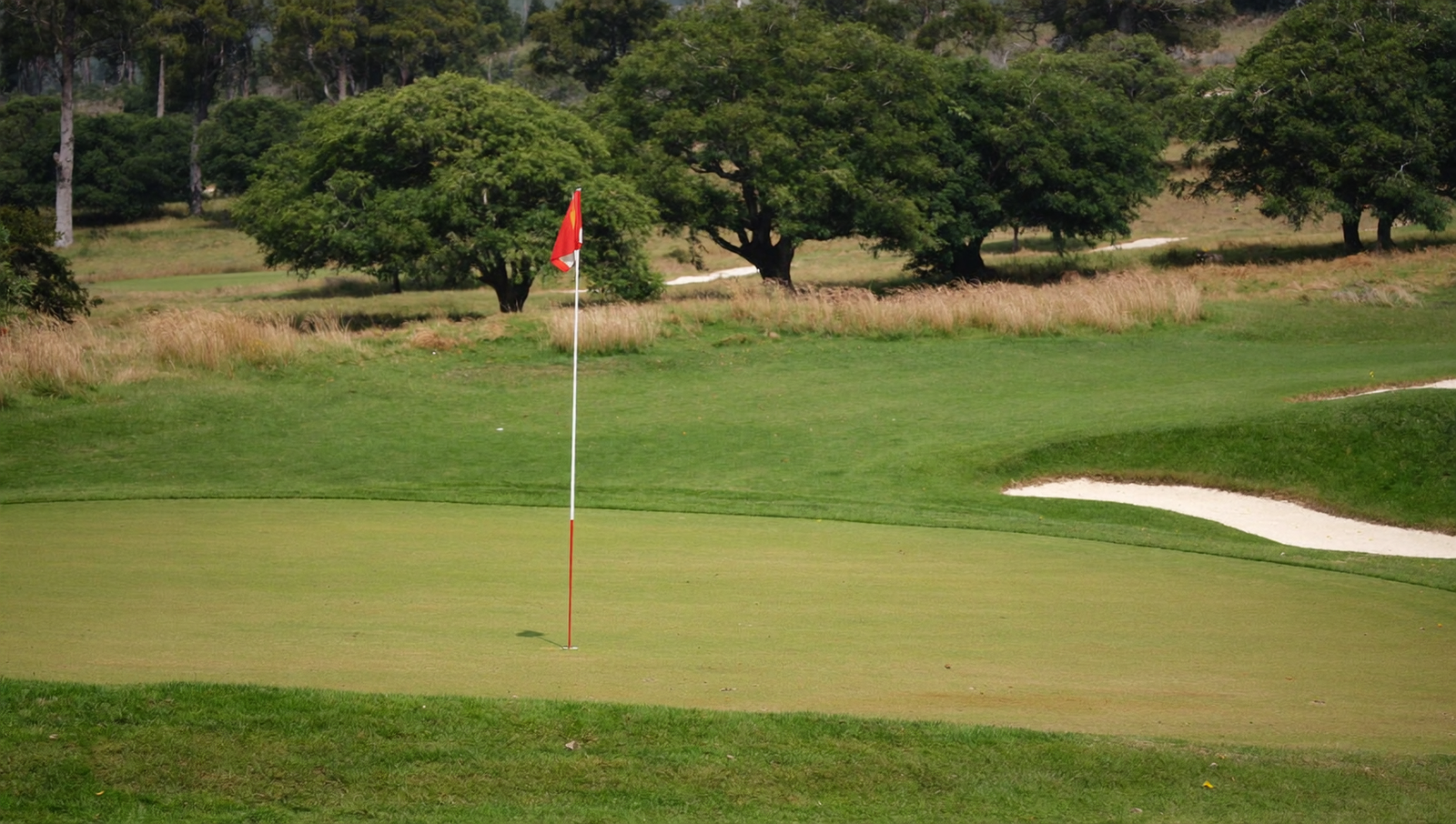 Golf spielen ohne Mitgliedschaft: Ihre Möglichkeiten im Überblick